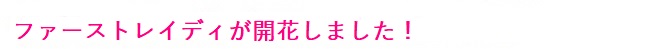 多摩桜プロジェクト