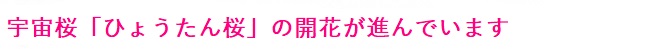 多摩桜プロジェクト