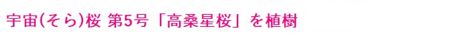 多摩桜プロジェクト