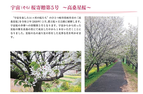 多摩桜プロジェクト